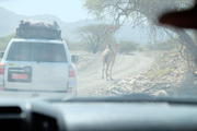 Oman