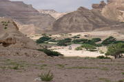 Wadi Ash-Shuwaymiyah, Shuwaymiyah, Oman, Dhofar