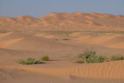 Rub al-Khali, Oman, Dhofar