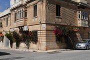 Blühende Rosen an einem Haus in Tarxien, Malta