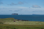 Skagafjörður: Grettislaug und Insel Drangey
